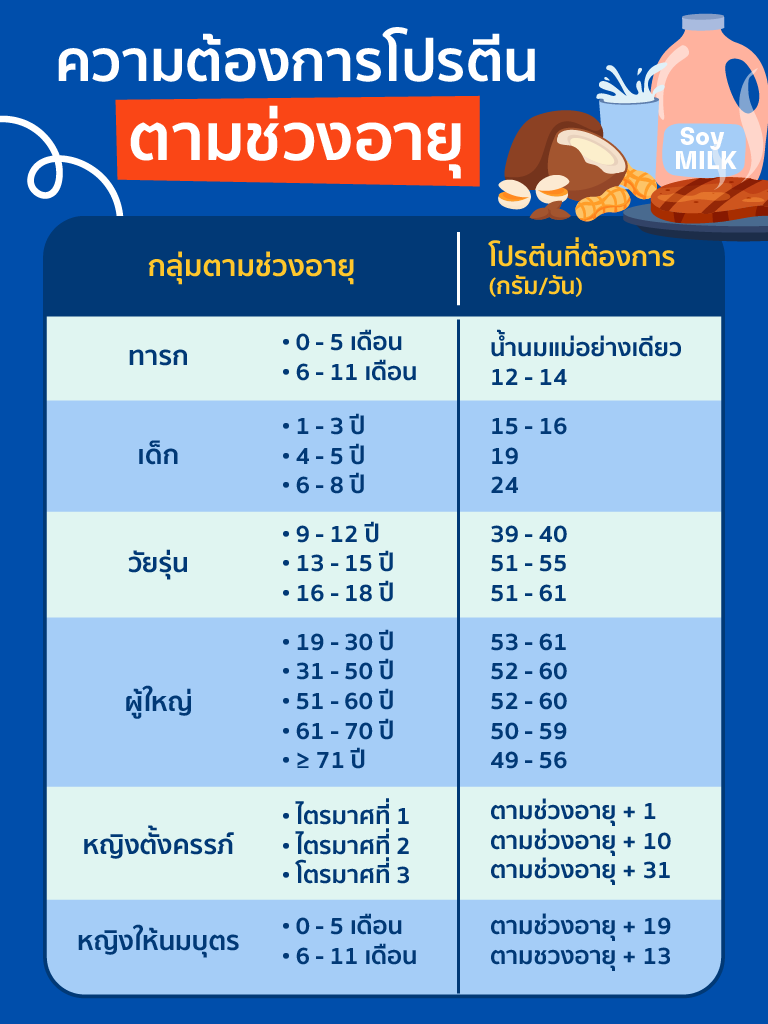 ปริมาณโปรตีนที่ร่างกายต้องการตามช่วงอายุ