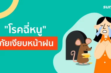 โรคฉี่หนูมีวิธีรักษาอย่างไร?