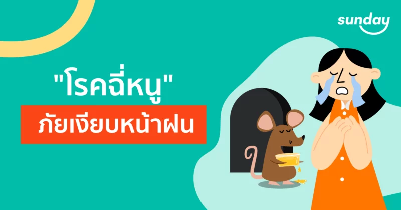 โรคฉี่หนูมีวิธีรักษาอย่างไร?