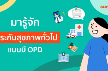 ประกัน ipd opd