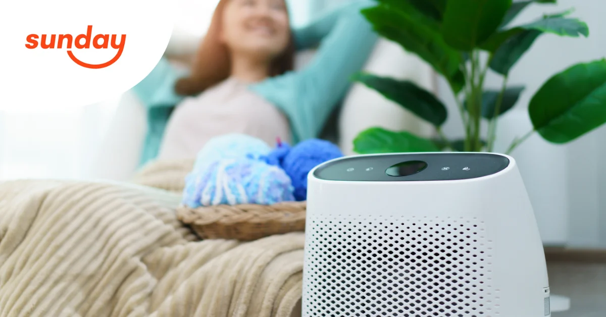 Portable Air Purifier