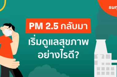 ฝุ่น pm 2.5