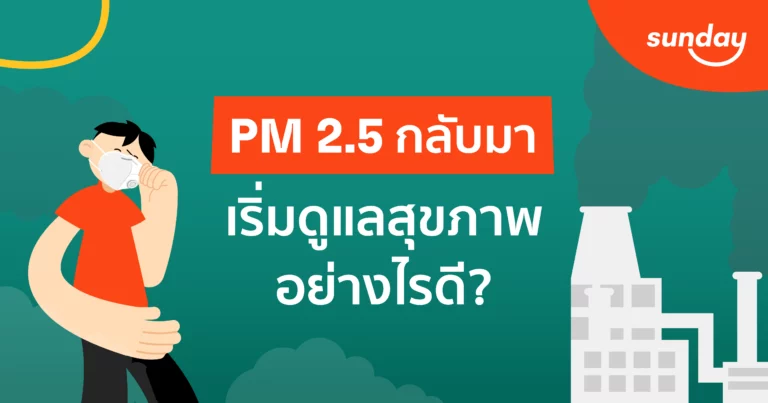 ฝุ่น pm 2.5