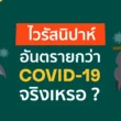 ไวรัสนิปาห์ (Nipha Virus)