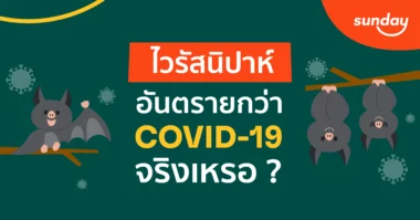 ไวรัสนิปาห์ (Nipha Virus)