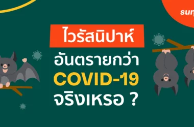 ไวรัสนิปาห์ (Nipha Virus)